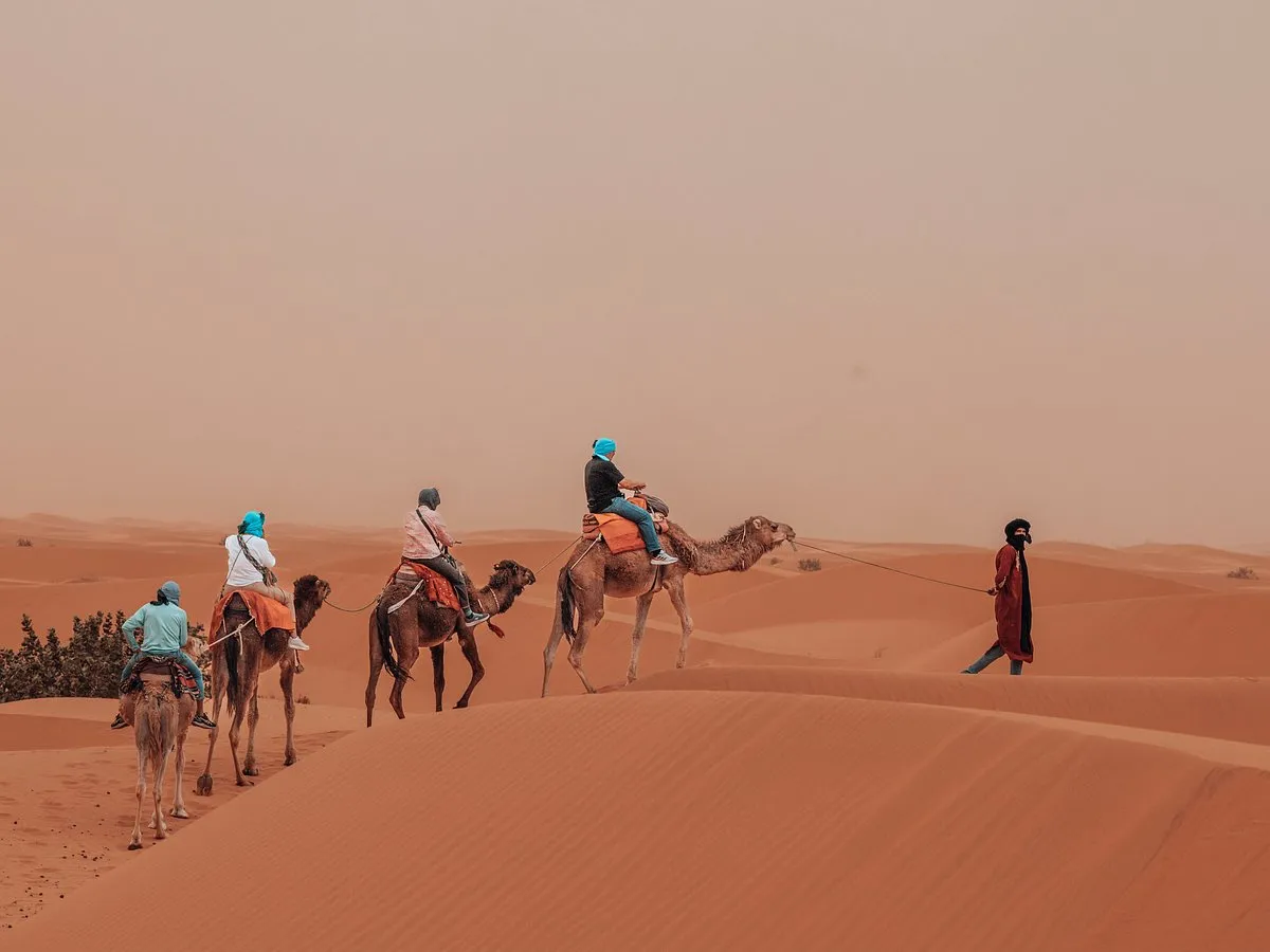 Students on a camel trek led by a guide across the Erg Chebbi dunes