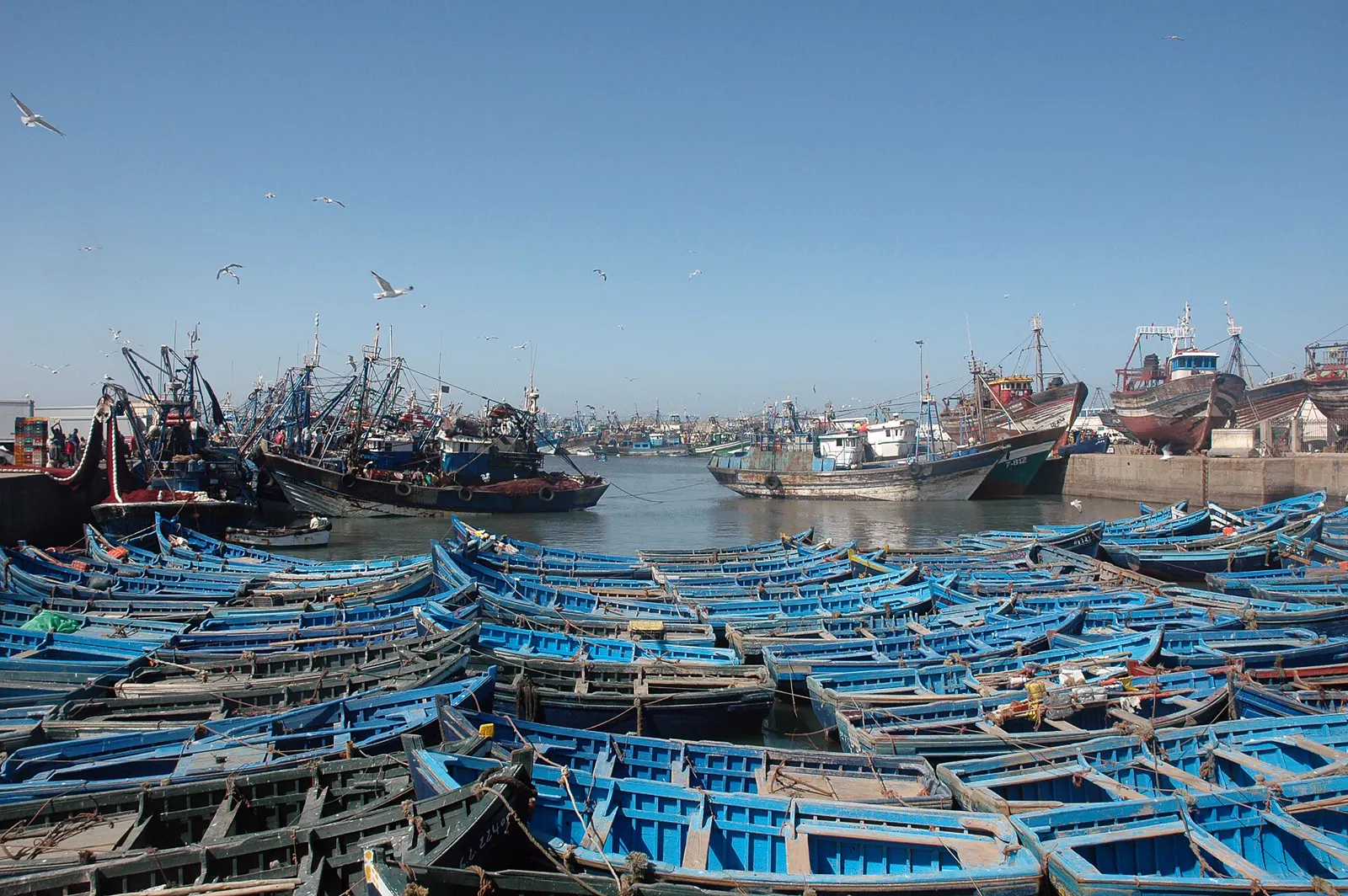 Blue fishing boats in the port of Essaouira