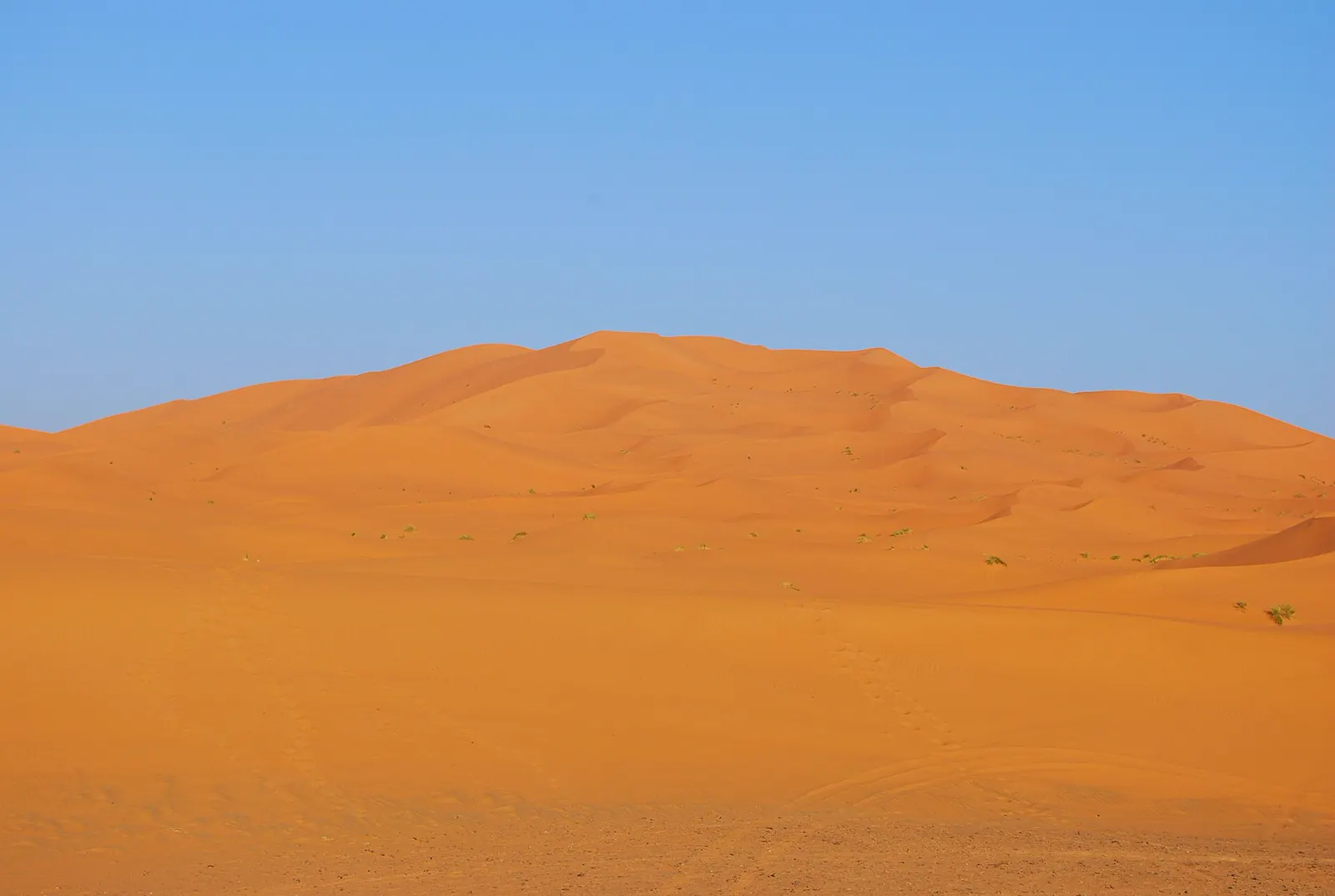 Orange sand dunes of Erg Chebbi near Merzouga